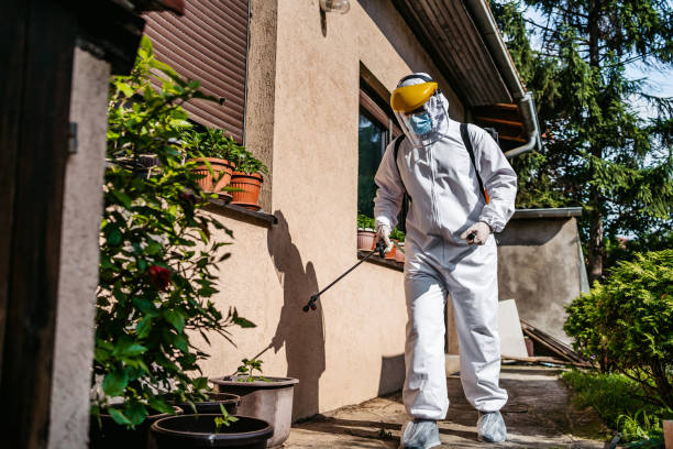 Best Best Pest Control Companies  in Slaton, TX