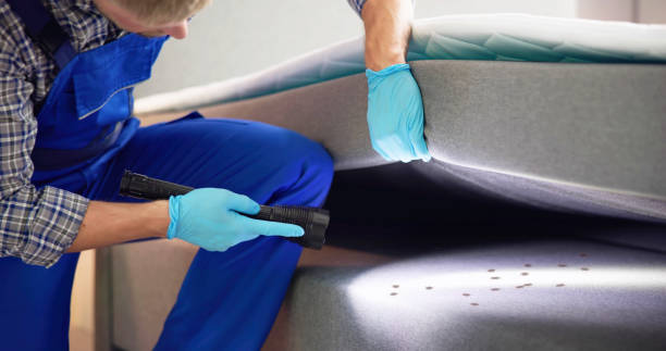Best Flea Control Services  in Slaton, TX