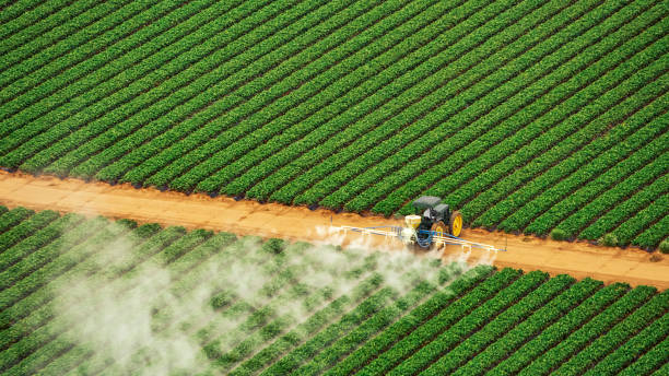Trusted Slaton, TX Pest Control Experts