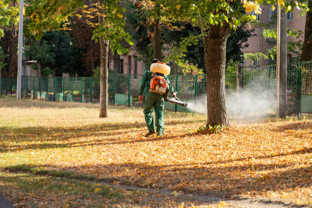 Best Best Pest Control Companies  in Slaton, TX