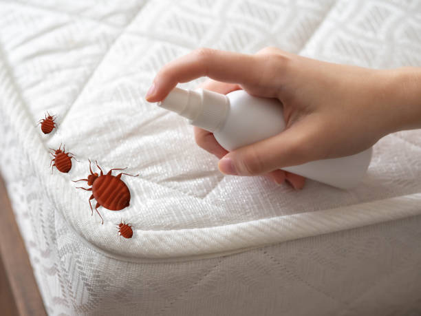 Best Exterminator Services  in Slaton, TX