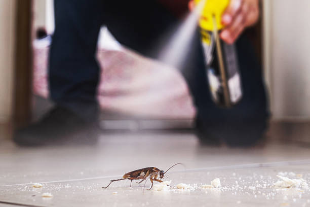 Best Termite Control Services  in Slaton, TX