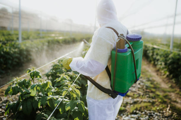 Best Pest Prevention Services  in Slaton, TX
